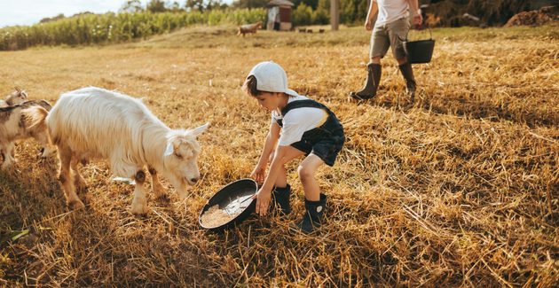 Bienvenue à la ferme, des visites de fermes en famille dans le Maine-et-Loire