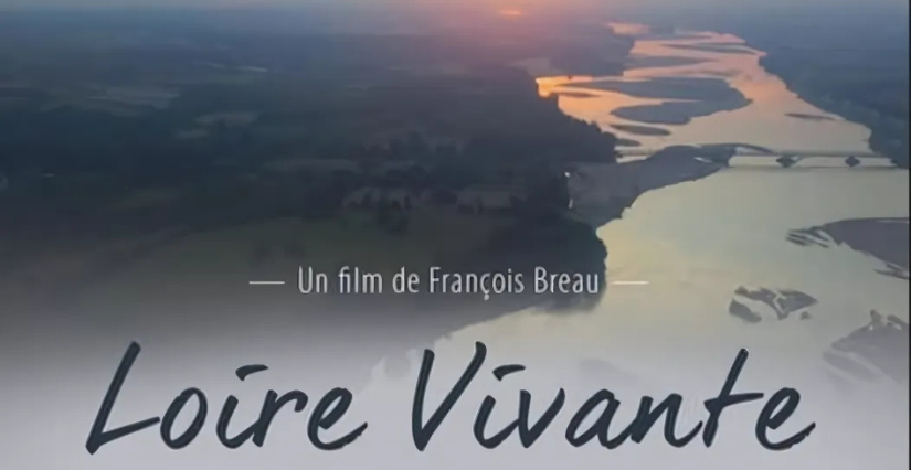 Culture pour tous : Diffusion du film « Loire vivante » à Loire Odyssée 