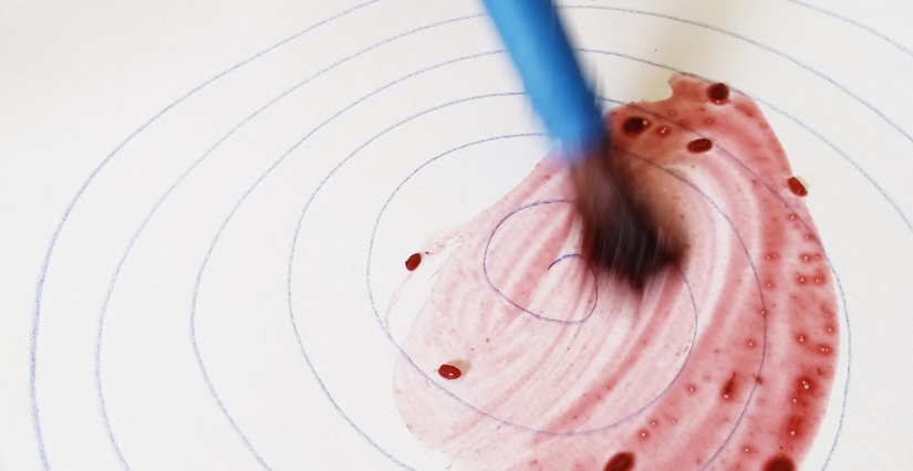 Experience nature "Experience colorée" à la Maison de l'Environnement à Angers