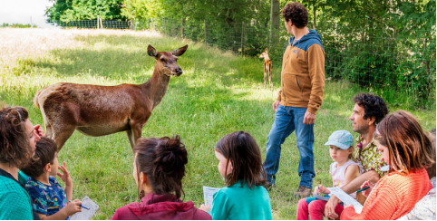 Les Cerfs de la Fardellière, visite de ferme en famille