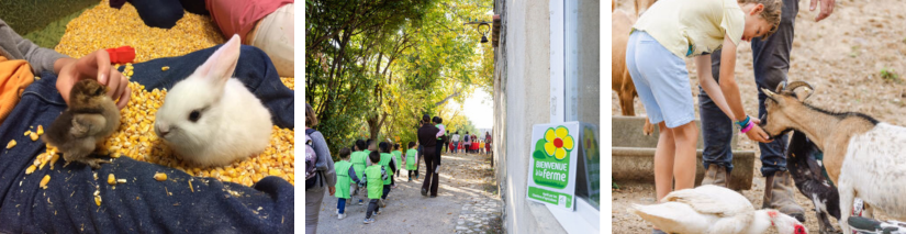 Bienvenue à la ferme 49