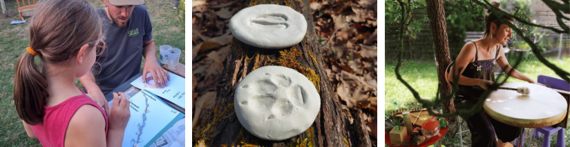 Maison de l'environnement