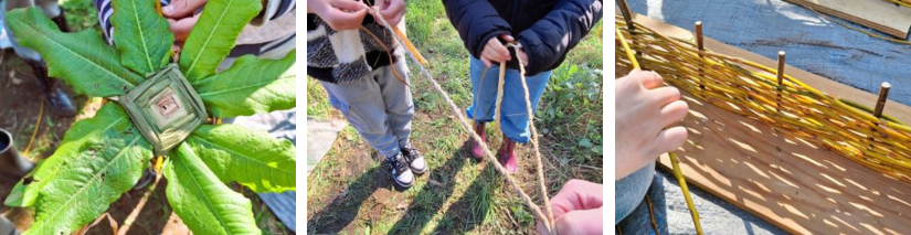 Scolaire Pieds Anjoués