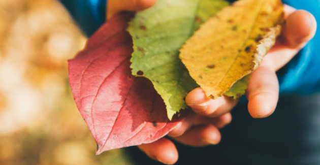 Balade sensible // balade nature 3-6 ans // Maison de l'environnement Angers