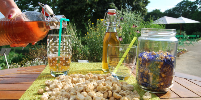 Limonades et sirops, atelier au Jardin Camifolia de Chemillé en Anjou
