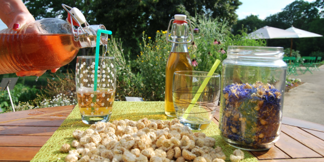 "Limonades et sirops", atelier au Jardin Camifolia de Chemillé-en-Anjou