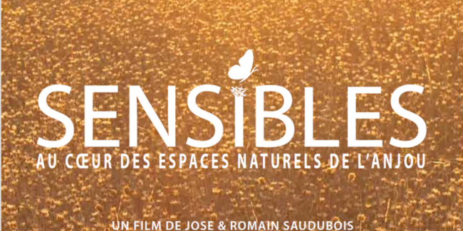 Sensibles, au coeur des espaces naturels de l'Anjou, cinéma de plein air à l'Hôtel-Dieu à Baugé