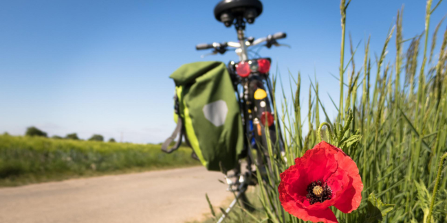 Rando VTT biodiversité à Angers