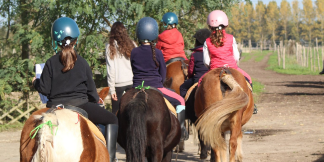 Ateliers d'équitation tout l'été avec Loisirs Équestres