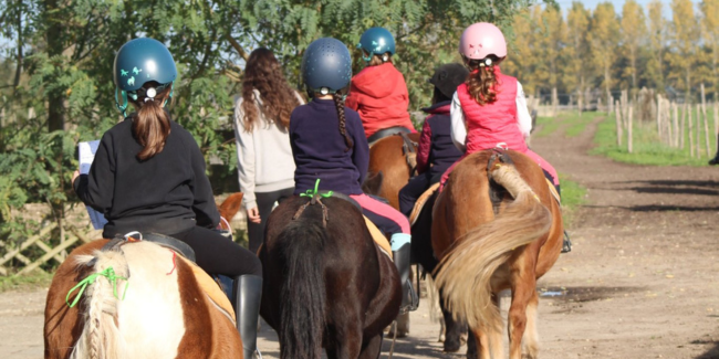 Stage d'équitation tout l'été avec Loisirs Équestres 