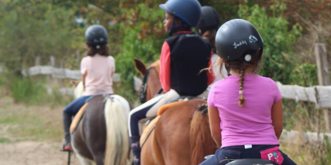 Stage et activités d'équitation tout l'été avec Loisirs Équestres 