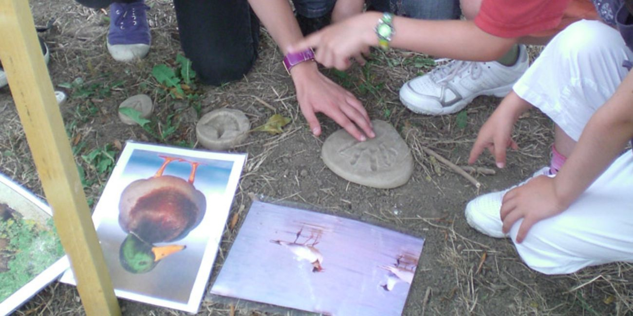 Loire dans tous les sens, atelier nature avec Loire Odyssée