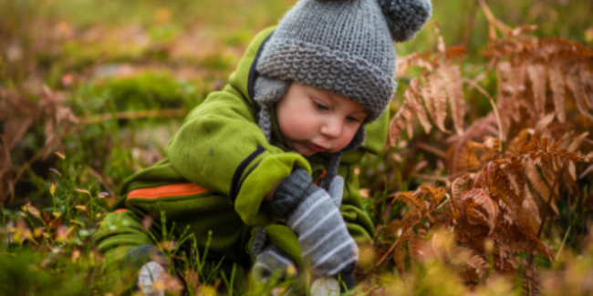 Histoires automnales pour petites oreilles à la Maison de l'environnement