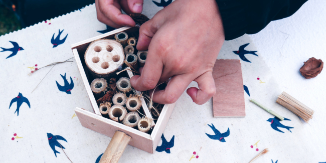 Atelier hôtel à insectes à la Maison de l'Environnement Angers