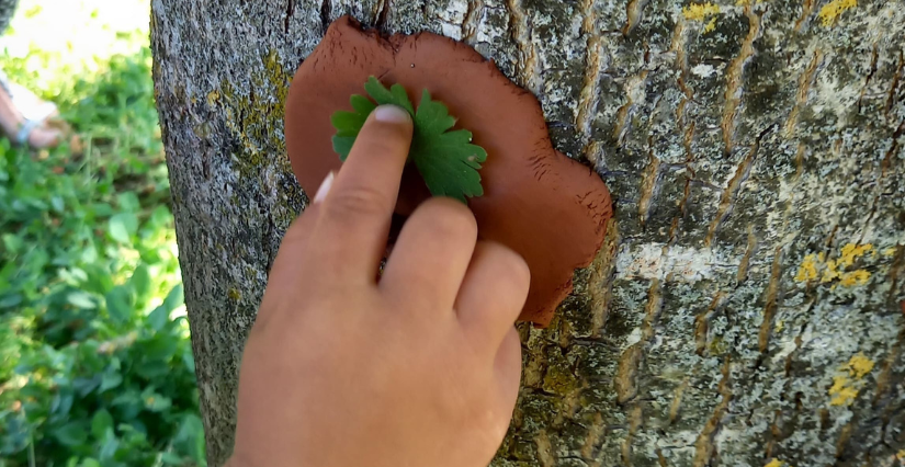 Vadrouillage de printemps pour les petits petons à la Maison de l'Environnement à Angers