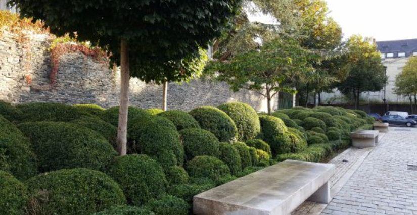 "Ateliers au jardin", lecture et atelier à la Bibliothèque Toussaint Angers