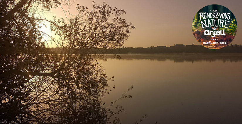 Crépuscule au Lac de Maine, balade avec la Maison de l'Environnement à Angers