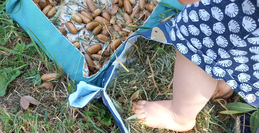 Vadrouillage d'été pour les petits petons à la Maison de l'Environnement à Angers