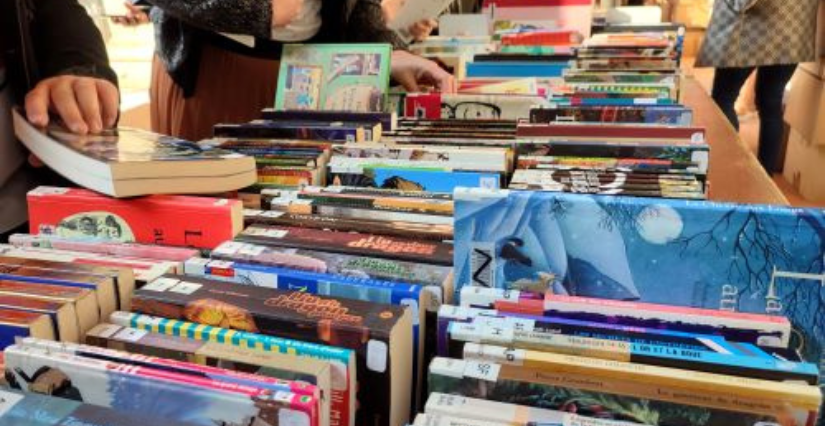 Braderie des bibliothèques au Centre Marcelle-Menet d'Angers