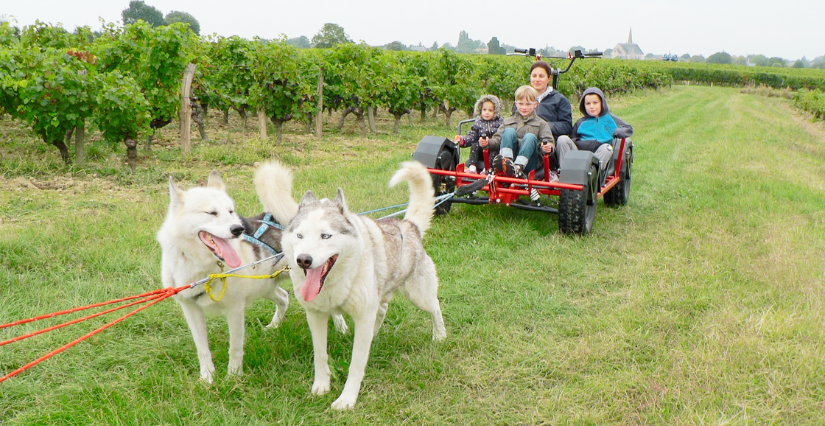 Balade en Doggy Kart en famille avec Husky Dream