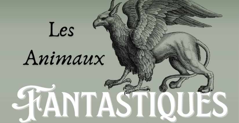 "Les animaux fantastiques", atelier en famille spéciale Haloween au Château de Baugé