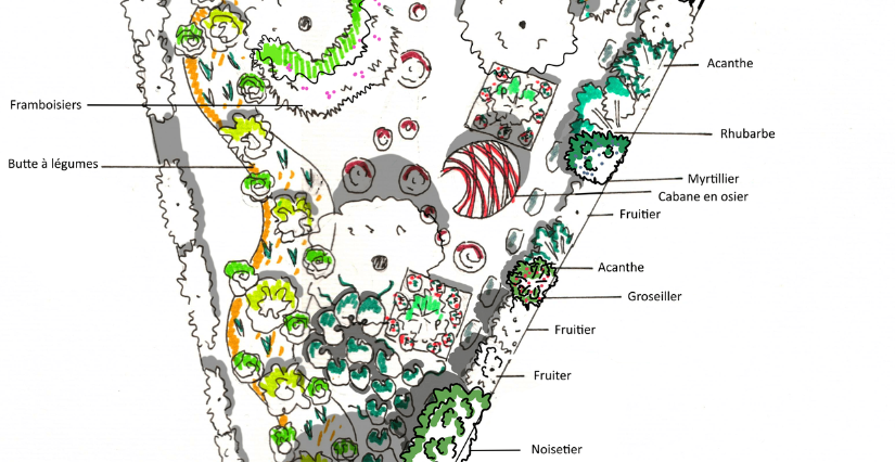 Dessiner son jardin en permaculture, atelier à la Maison de l'Environnement