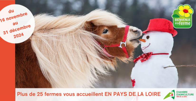 Marché à la Ferme de la Grande Houssaie du réseau Bienvenue à la ferme dans le Maine-et-Loire