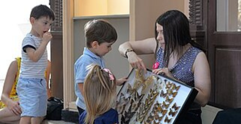 Visite en famille "Conte-moi les animaux", au Muséum des Sciences Naturelles d'Angers