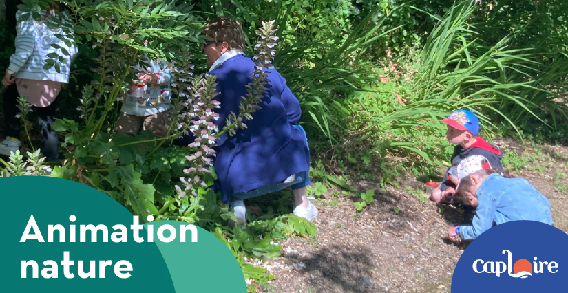 "Les petites bêtes de terre et d’eau", animation chez Cap Loire à Montjean-sur-Loire