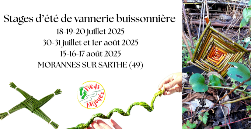 Stages de vannerie buissonnière avec Les Pieds Anjoués à Morannes-sur-Sarthe