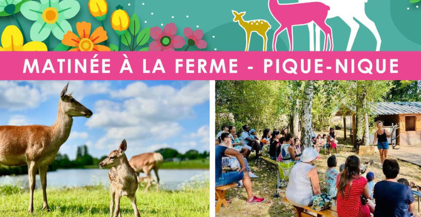 "Les matinées à la ferme" : visite et pique-nique à la ferme des Cerfs de la Fardellière