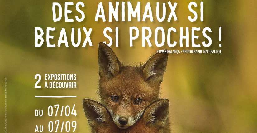 Exposition "Des animaux si beaux si proches !" à la Maison de l'environnement à Angers