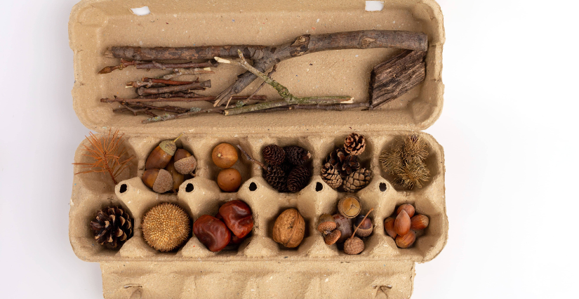 Atelier "Jouer avec la nature", à la Maison de l'Environnement à Angers