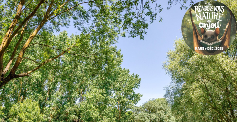 Les secrets du Parc Balzac, rallye nature à Angers