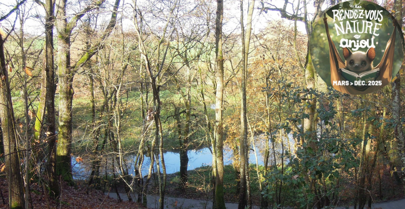 Sortie "Course d'orientation de la biodiversité" avec la Maison de l'environnement à Angers