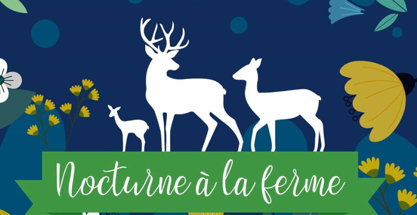 L'été à la ferme, nocturne à la ferme avec les Cerfs de la Fardellière