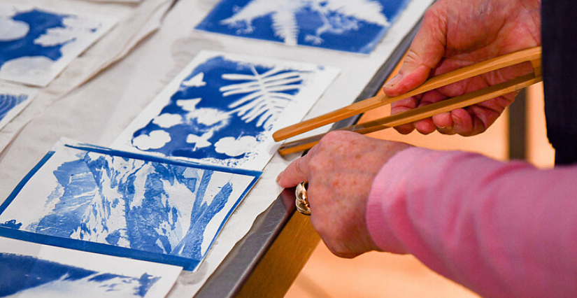 "Atelier cyanotype", atelier au Muséum des Sciences Naturelles d'Angers