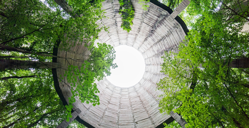 Exposition "Naturalia II", au Château du Plessis-Macé