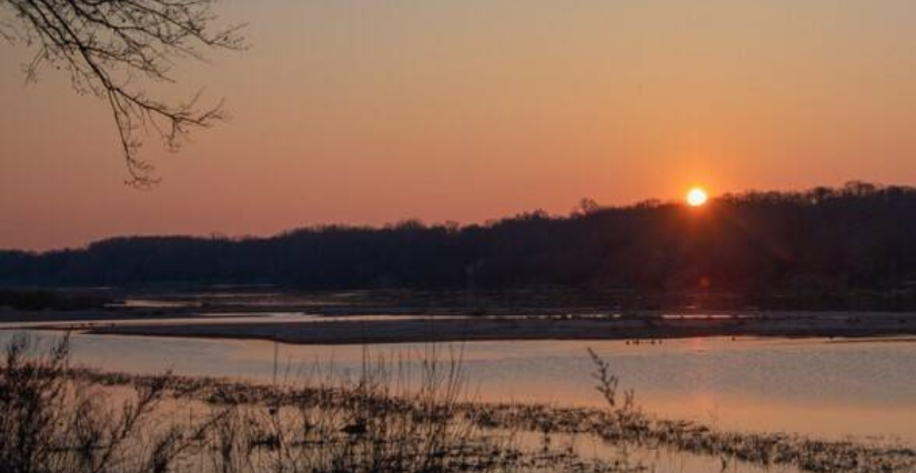 Balade entre chiens et loups, sortie nature avec Loire Odyssée