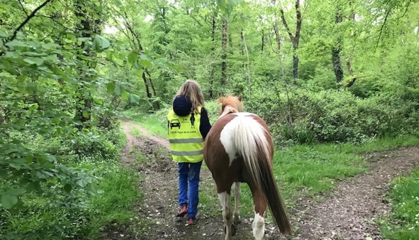 Balade avec un cheval à côté de vous avec Équi Écoute, près d'Angers