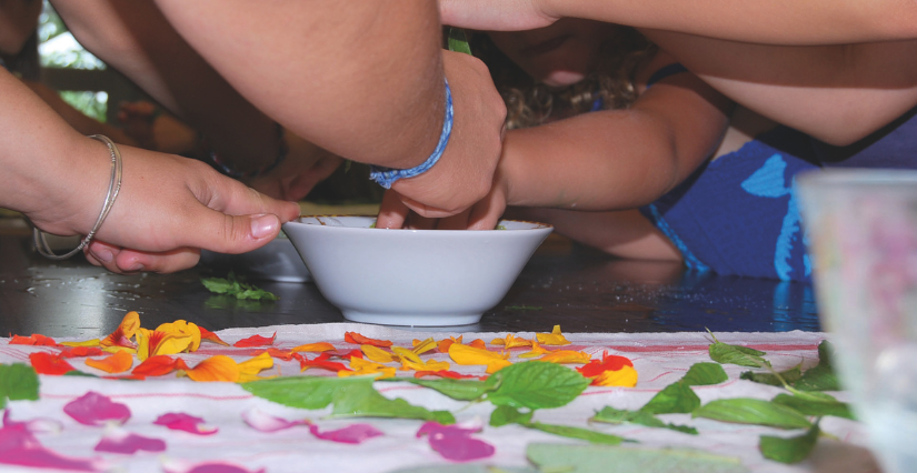 "Bonbons et gourmandises", atelier au Jardin Camifolia de Chemillé-en-Anjou