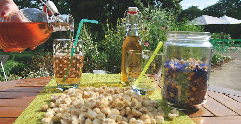 "Limonades et sirops", atelier au Jardin Camifolia de Chemillé-en-Anjou