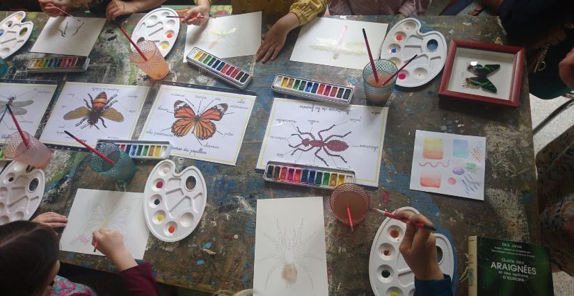 Atelier collaboratif "L'apparition de la vie", à la Maison de l'environnement à Angers