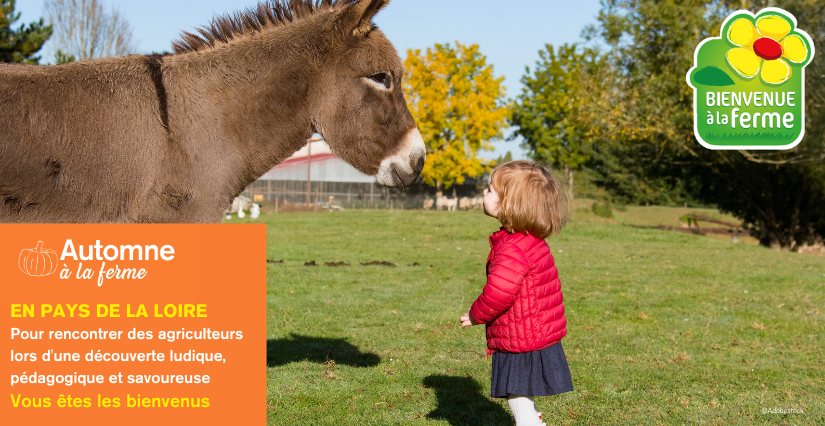 Opération "Automne à la ferme" dans les fermes du Réseau Bienvenue à la ferme, dans le Maine-et-Loire