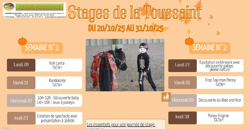 Stages d'équitation des vacances d'automne avec Loisirs Équestres près d'Angers