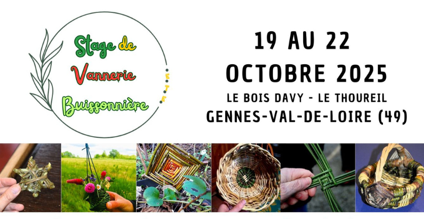 Stage de 4 jours de vannerie buissonnière avec Les Pieds Anjoués