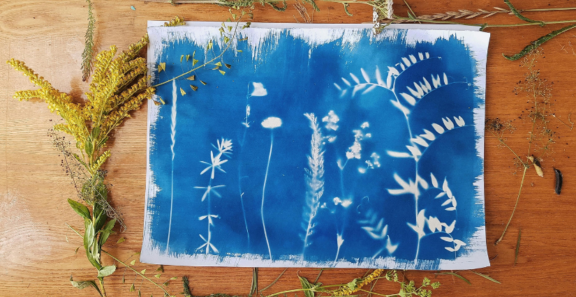 Animation Cyanotype "Impression Végétale" à Loire Odyssée
