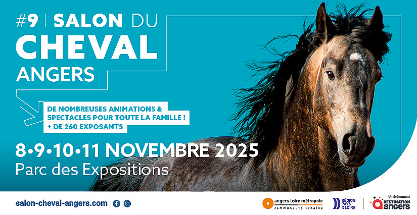 Le salon du cheval 2025 au Parc des Expositions d'Angers