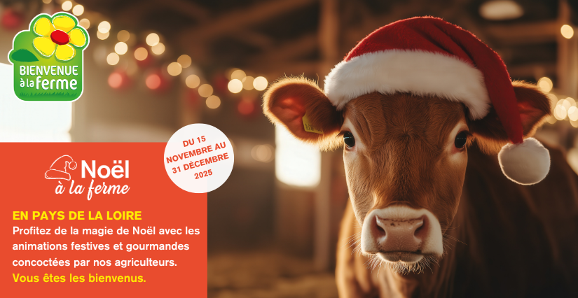 Opération "Noël à la ferme" dans les fermes du Réseau Bienvenue à la ferme, dans le Maine-et-Loire