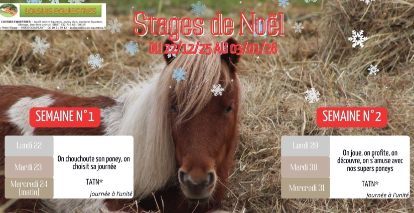 Stage de Noël équitation avec Loisirs Équestres